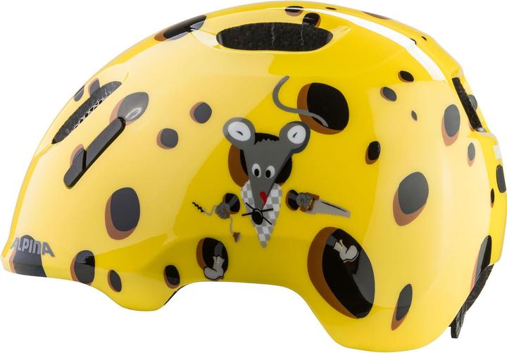 Produktbild Alpina Ximo 2 (45 - 49 cm)