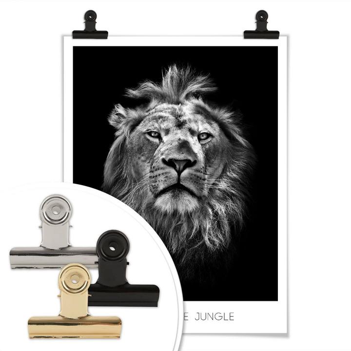 Produktbild Trenddeko Lion - King of the Jungle (40 x 50 cm)