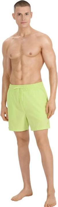 Image du produit 4F Herren-Badeshorts (M)
