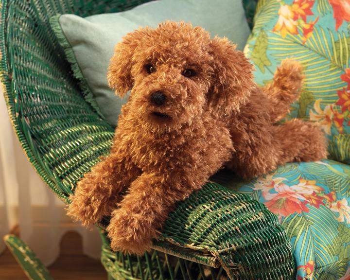 Productafbeelding Folkmanis Poedel puppy / Toy Poedel