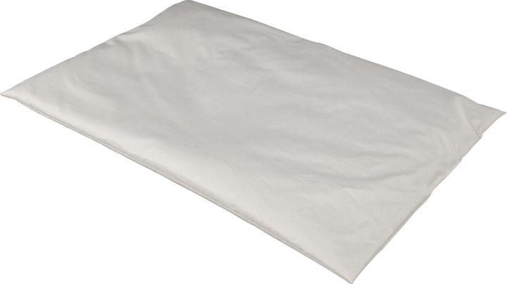 Albis Oreiller en millet Ciro 40 x 60 cm (60 x 40 cm)