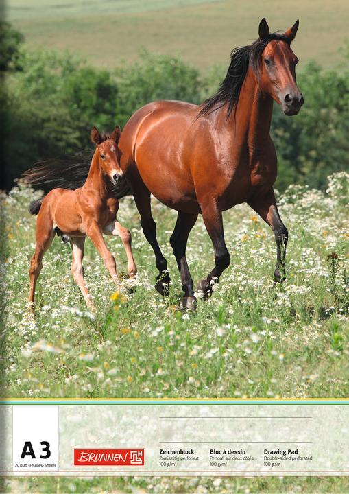 Immagine prodotto Brunnen Blocco da disegno DIN A3 100g/m² 20 fogli (A3)