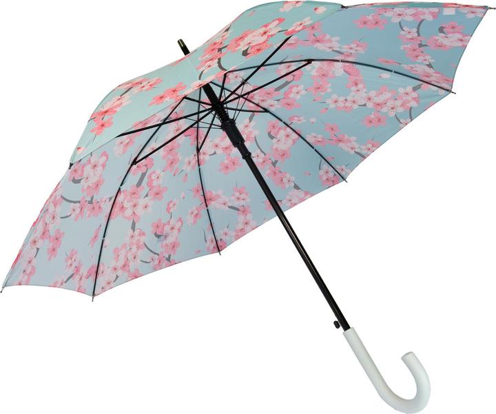 Image du produit Fisura Sakura