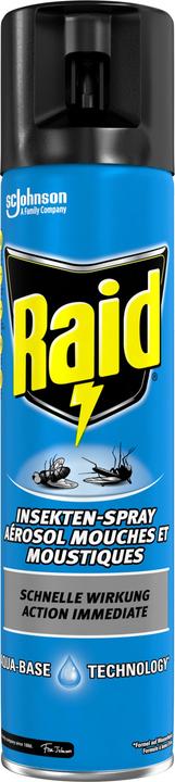 Raid Spray per insetti (400 ml)