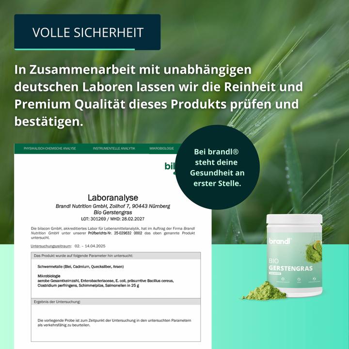 Produktbild Brandl Gerstengras (1 Stück, Pulver, 500 g)