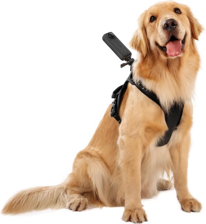 Image du produit Insta360 Pet Harness Mount, size L