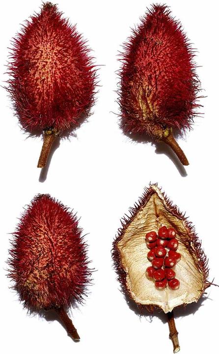 Produktbild Clarins Eclat Minute Huile Confort Lèvres (Lippenöl, 7 ml)