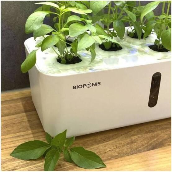 Actual product image Bioponis Eden
