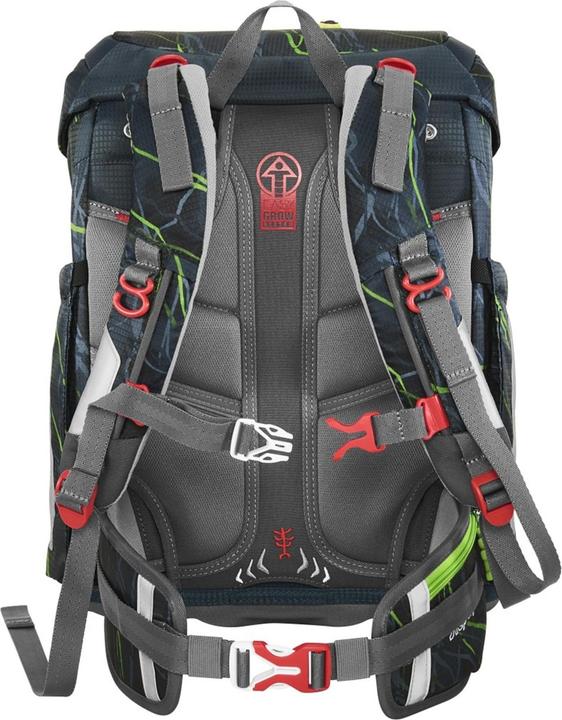 Actual product image Step by Step Danger Cat Chiko (19 l)