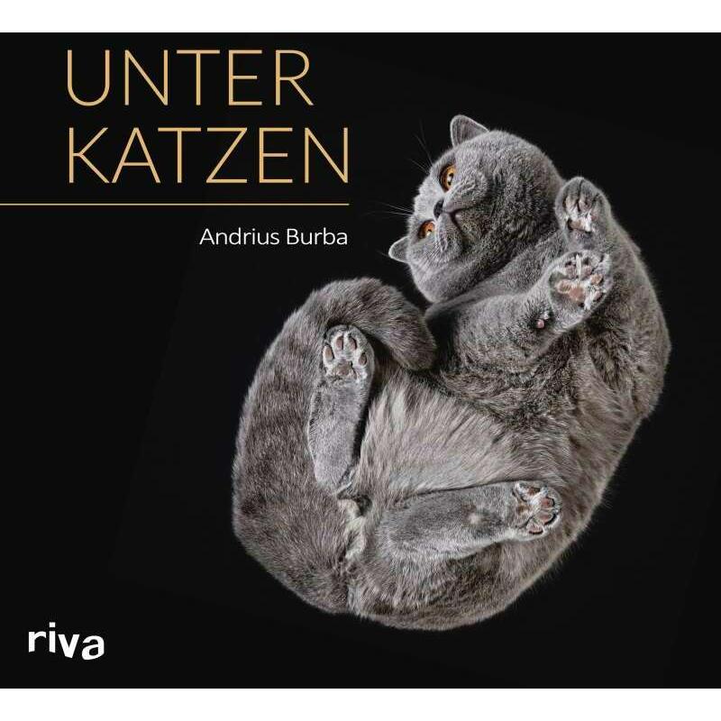 Thumbnail - Unter Katzen, Ratgeber von Andrius Burba