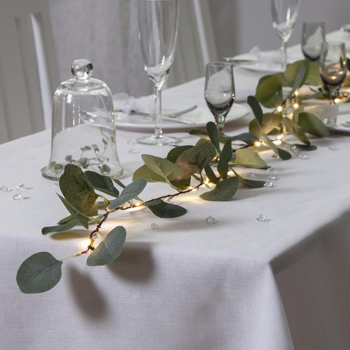 Actual product image Star Trading Eucalyptus (1.80 m)