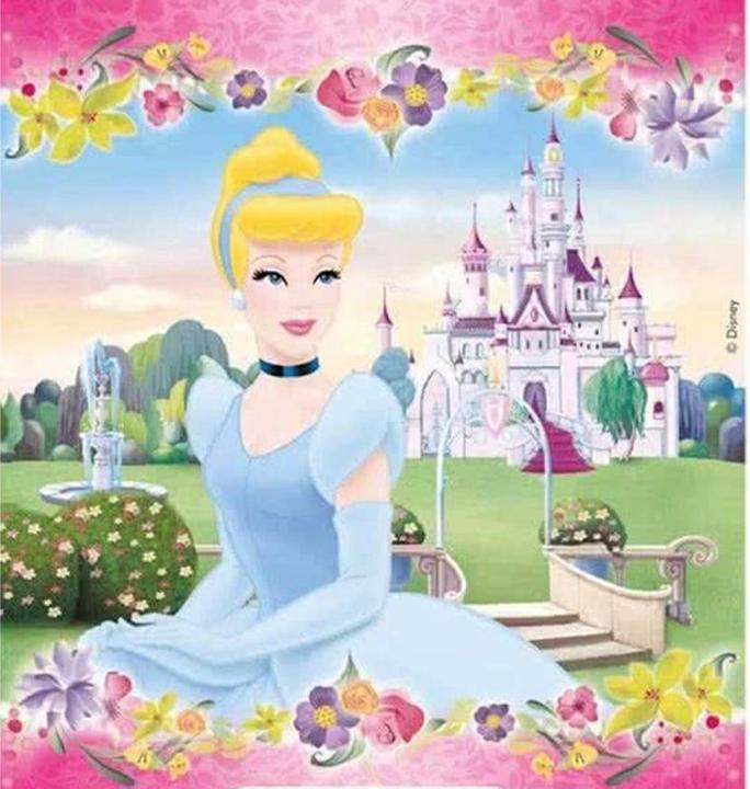 Actual product image Disney Princess Journey Party Bags (Pack of 6) (6 pcs.)