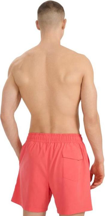 Image du produit 4F Herren-Badeshorts (M)