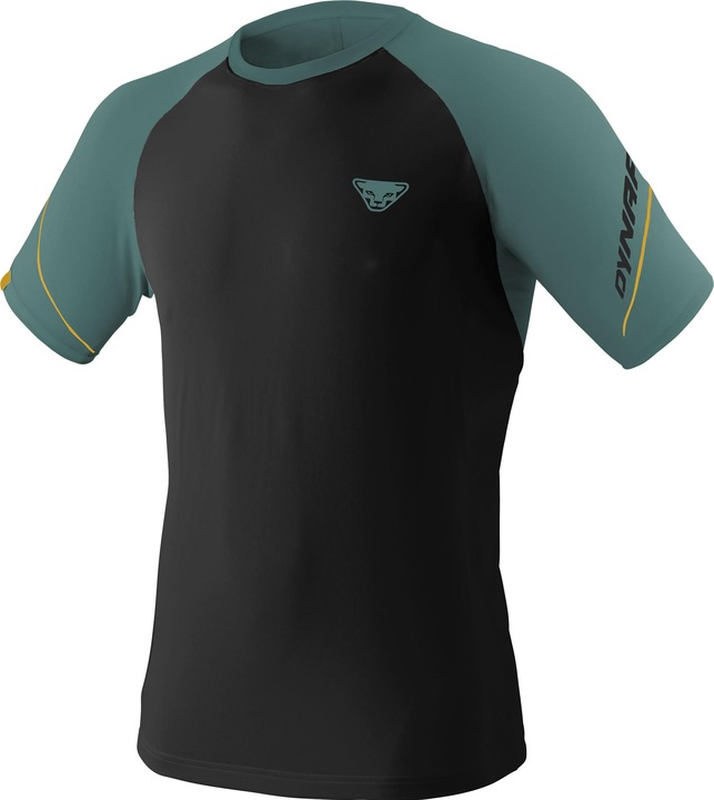 Actual product image Dynafit Alpine Pro S/S Tee (46)