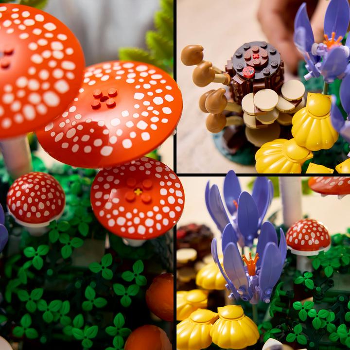 Produktbild LEGO 11505 Waldpilze (LEGO Botanicals)