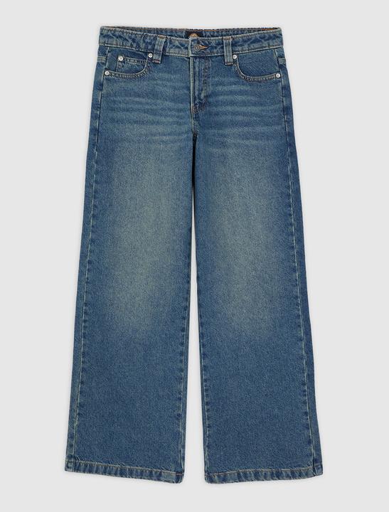 Produktbild Dickies Mechanic Denim W (25)