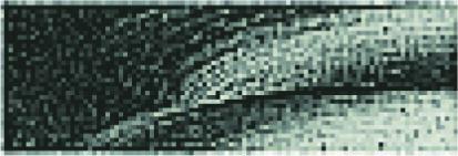 Actual product image Talens Oil Paint van Gogh Lamp Black 702 (20 ml)