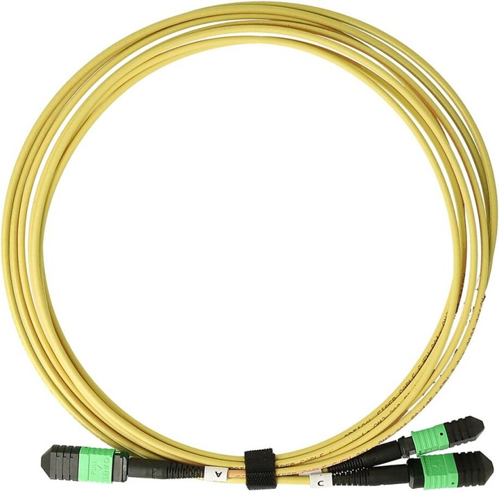 Actual product image BlueOptics Fibre optic MPO-16/APC-2xMPO-12/UPC Breakout cable G.657.A1 Singlemode 10 metres