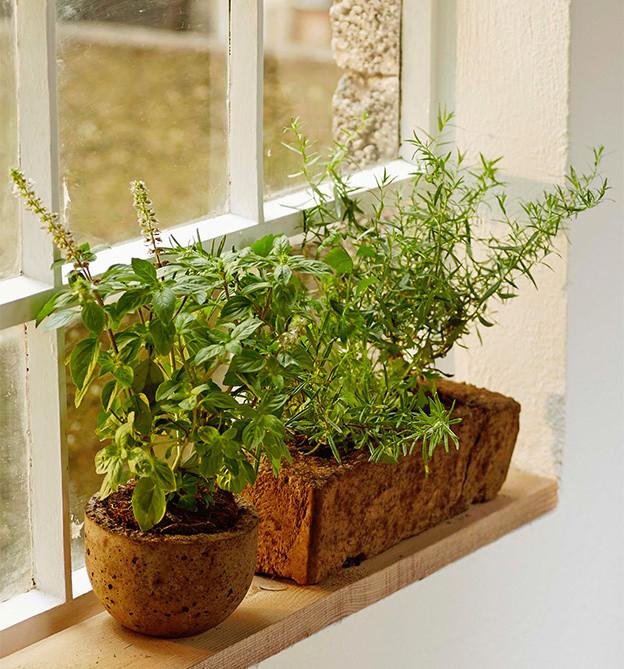 Produktbild Beton (kreativ.startup.) (Deutsch, Susanne Weidmann, 2016)