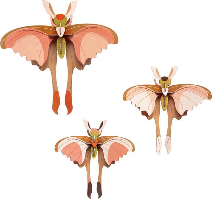 Studio Roof Comet Butterflies