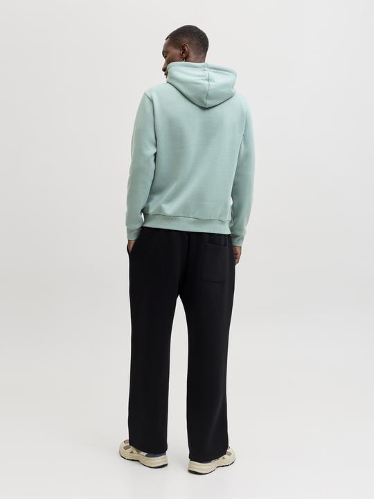 Produktbild Jack & Jones Jjebradley Sweat Hood Noos (M)