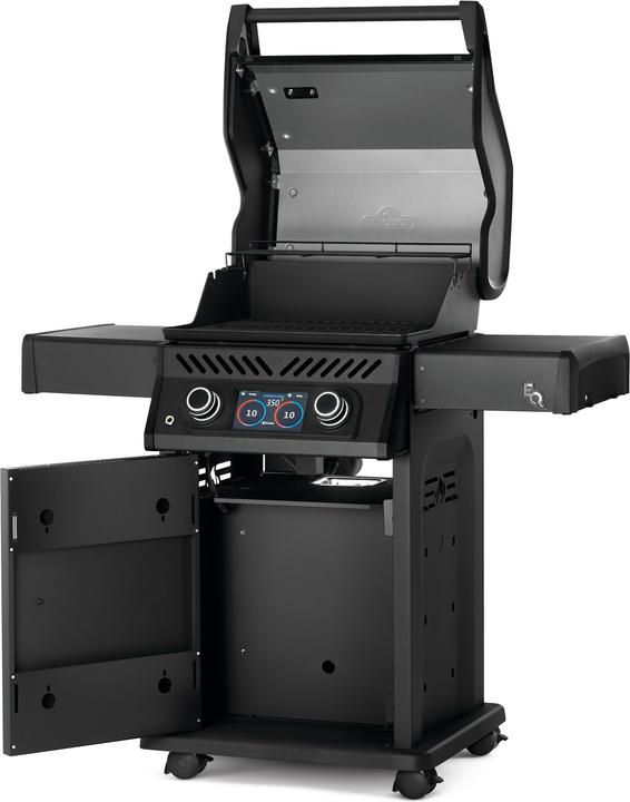 Produktbild Napoleon Rogue EQ 365 (REQ365MK-CE)