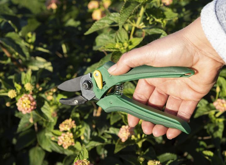 Produktbild Garten Meister Einhand-Gartenschere