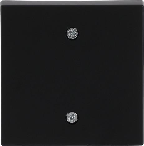 Produktbild Busch-Jaeger Zentralscheibe