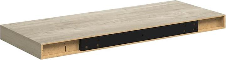 Actual product image vidaXL Wandregal (23.50 x 60 x 3.80 cm)