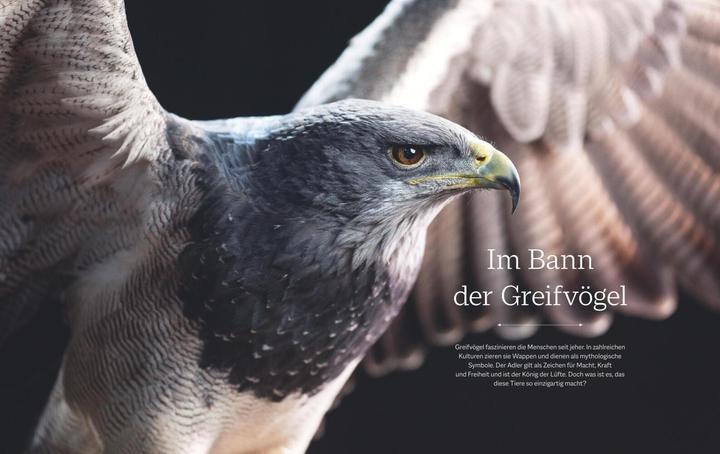 Produktbild Vom Schlüpfen bis zum ersten Flug (Deutsch, Tobias Lohf, 2021)