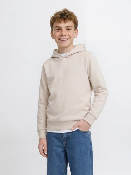 Produktbild Jack & Jones Jrebzack Sweat Hood Noos Jnr (152)