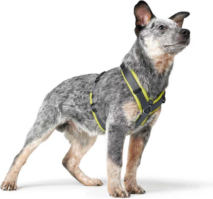 Immagine prodotto Hunter Stoviglie a rete Maldon (XS, Cane)