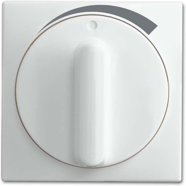 Actual product image Busch-Jaeger Central disc