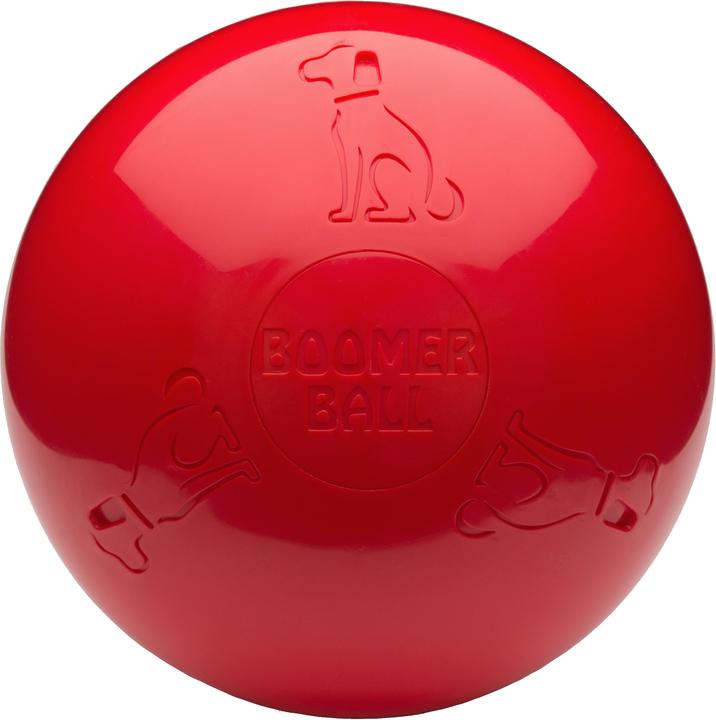 Image du produit Company of Animals Boomer Ball (Jouet à balle chien)