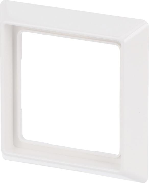 Actual product image Busch-Jaeger Frame