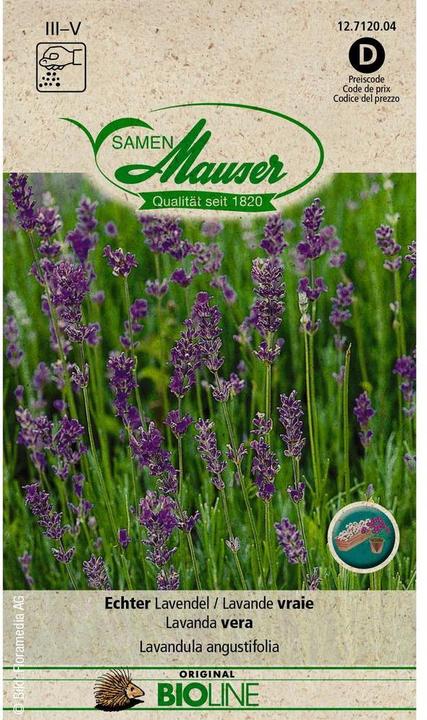 Immagine prodotto Samen Mauser Lavanda vera BIO (Semi di erbe)