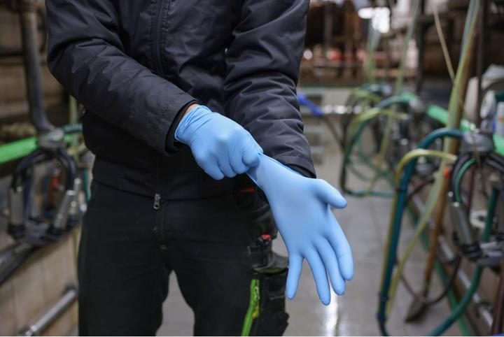 Produktbild Kerbl Nitril PremiumPlus, Gr.L 8mil Einnmalhs, 50 St, blau ungepud (L)