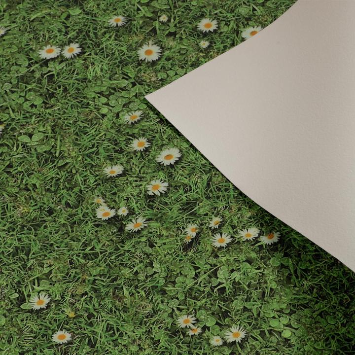 Image du produit Karat Daisies