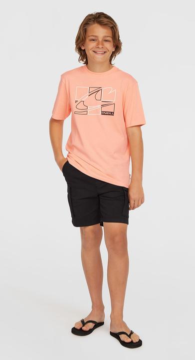 Produktbild O'Neill Cargo Shorts (152)