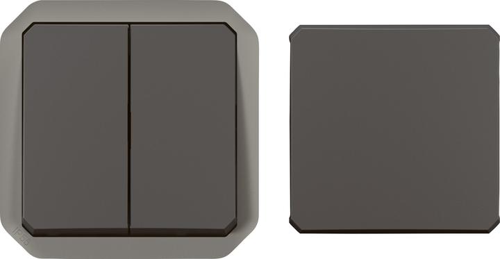 Image du produit Legrand PLEXO New insert, 5-in-1 wet space double switch, double switch, wec