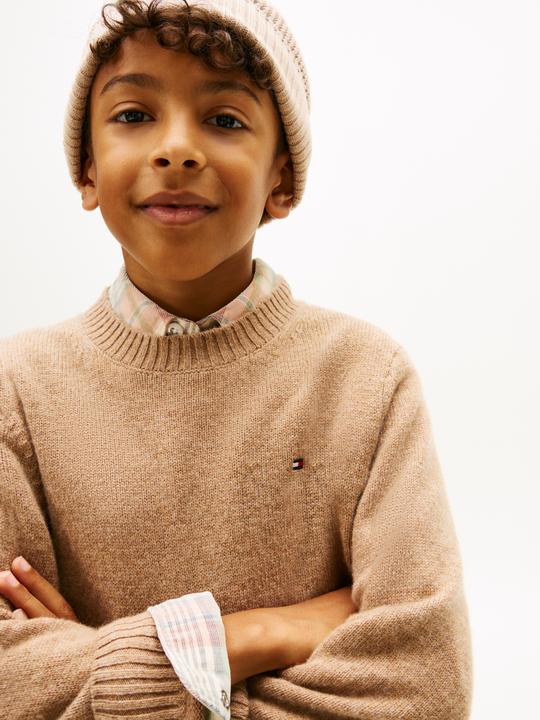 Actual product image Tommy Hilfiger Lambswool Sweater (164)