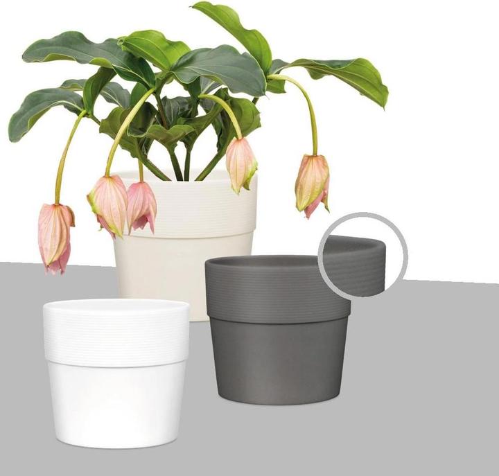 Image du produit Scheurich Groove (40 cm)