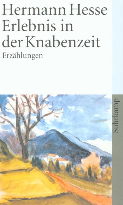 Produktbild Erlebnis in der Knabenzeit (Deutsch, Hermann Hesse, 2006)