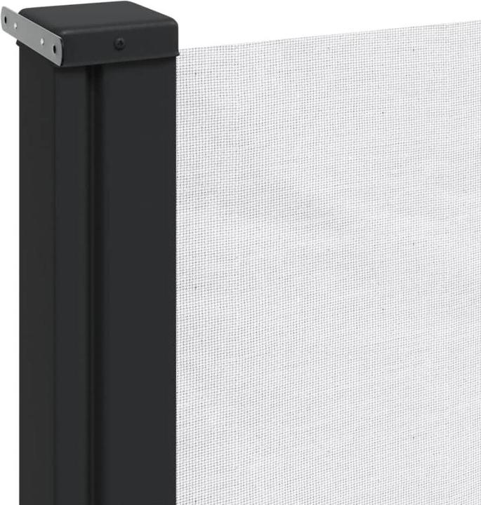 Actual product image vidaXL Extendable side awning (5 m)