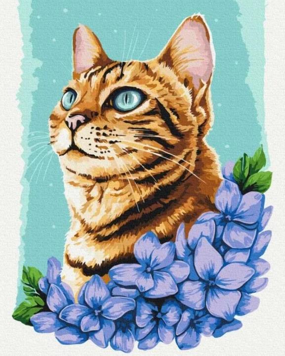 Immagine prodotto Twoje Hobby Malen nach Zahlen - Azurblaue Katze 40x50cm