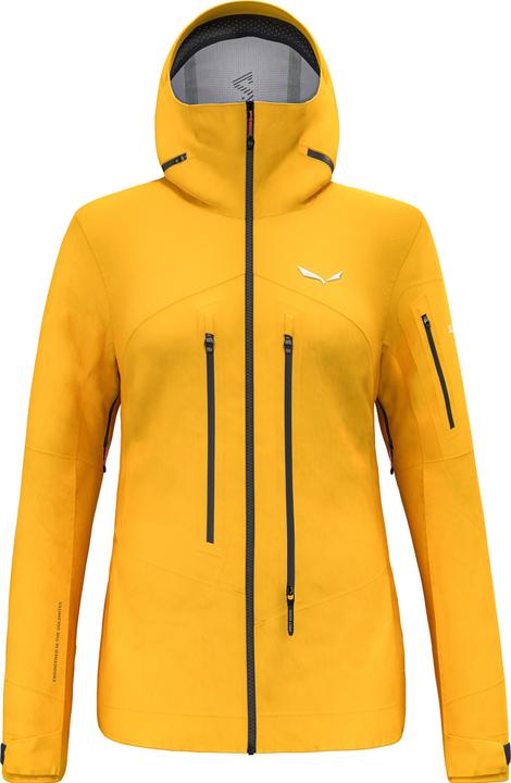 Actual product image Salewa Ortles Gtx Pro Jacket W (42, XXL)