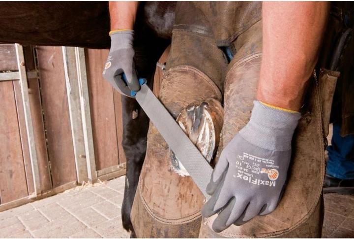 Immagine prodotto Pferd Pialla per zoccoli a testa piatta 350 mm Piallatura e lavorazione degli zoccoli (350 mm)