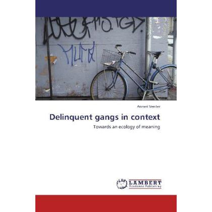 Delinquent gangs in context, Fachbücher von Anneri Venter