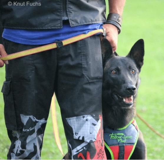 Produktbild Niggeloh Führgeschirr Follow Sport Plus M (Hund, Hundesport)