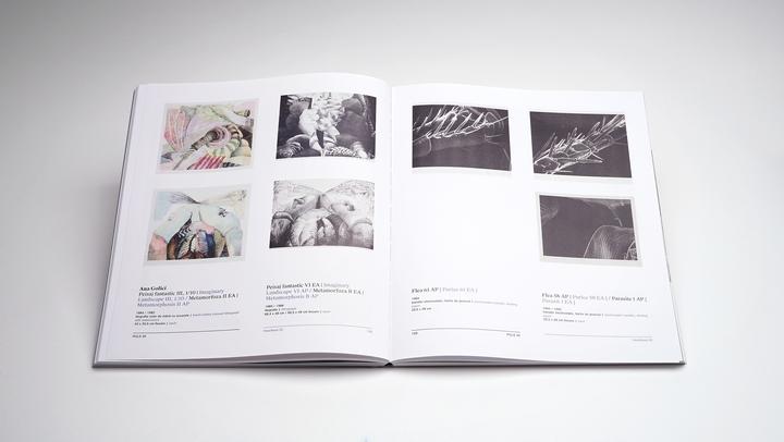 Actual product image Puls 20 (English, Romanian, Călin Dan, Calin Demetrescu Dan, Ruxandra Demetrescu, Simona Vilău, 2024)